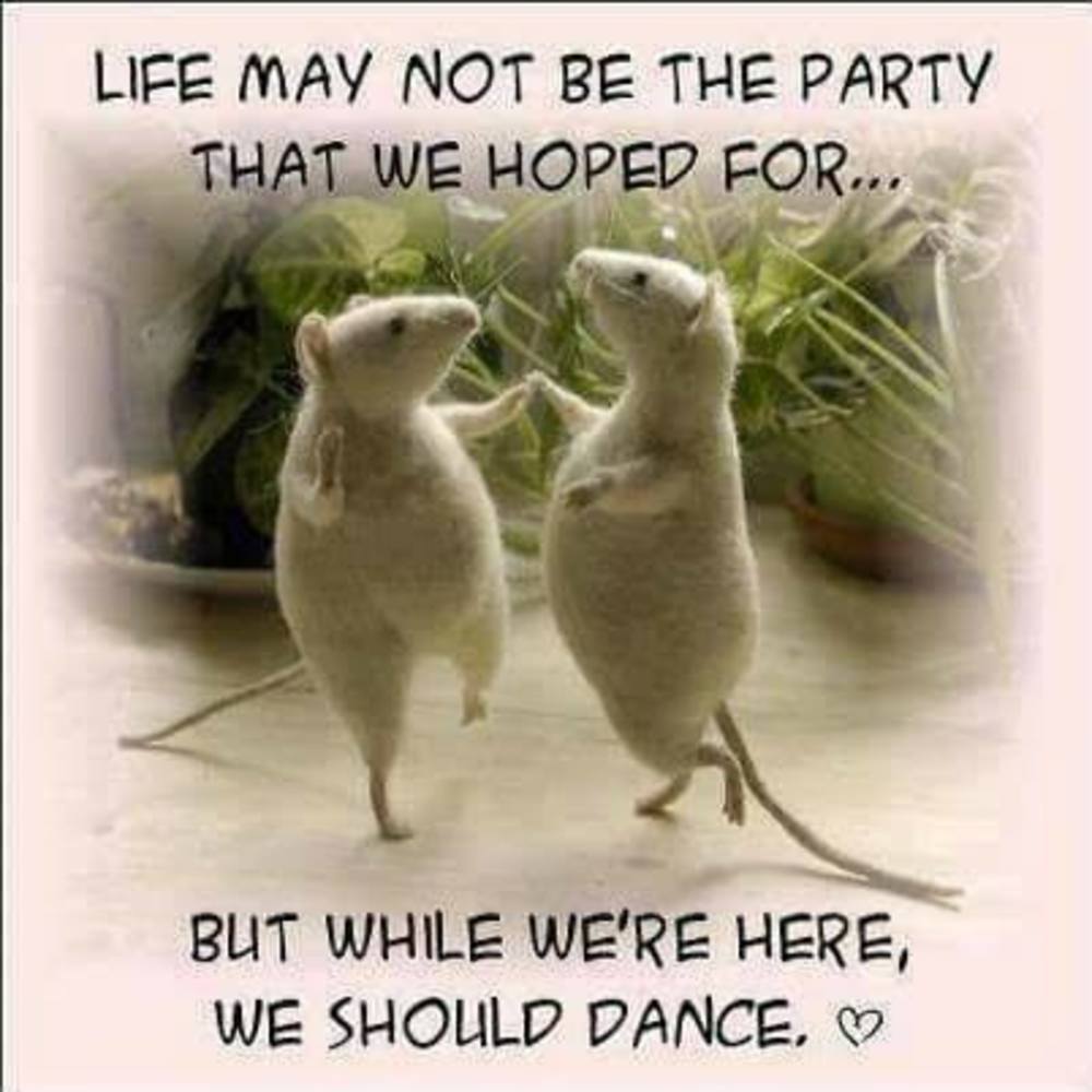 Meet your Posher, Kate